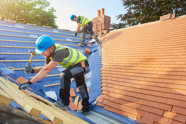Best Roof Insulation Installation  in Amargosa Valley, NV